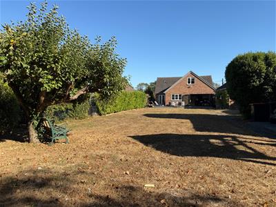 Picture 19